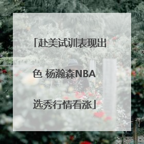 赴美试训表现出色 杨瀚森NBA选秀行情看涨