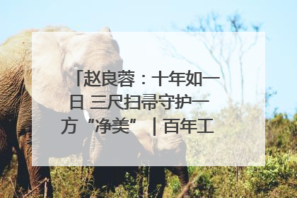赵良蓉：十年如一日 三尺扫帚守护一方“净美”｜百年工运·劳模说