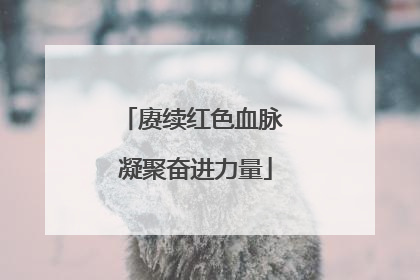 赓续红色血脉 凝聚奋进力量