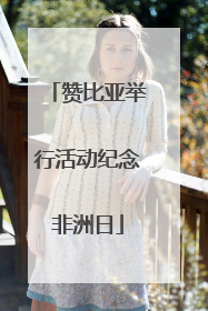赞比亚举行活动纪念非洲日