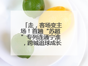 走，客场变主场！首趟“苏超”专列连通宁淮，跨城追球成长三角人新日常
