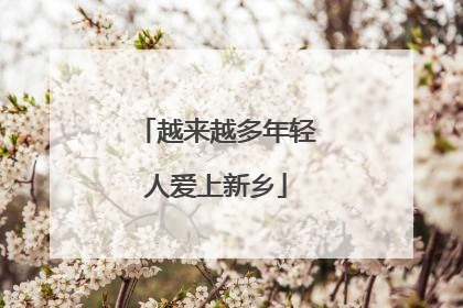 越来越多年轻人爱上新乡