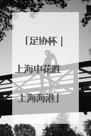 足协杯｜上海申花胜上海海港