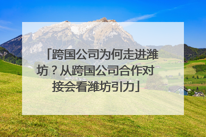 跨国公司为何走进潍坊？从跨国公司合作对接会看潍坊引力