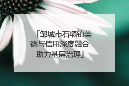 邹城市石墙镇美德与信用深度融合助力基层治理