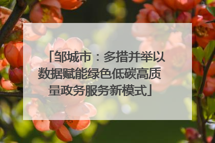 邹城市：多措并举以数据赋能绿色低碳高质量政务服务新模式