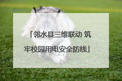 邻水县三维联动 筑牢校园用电安全防线