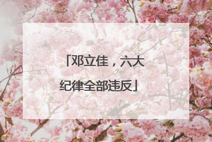 邓立佳，六大纪律全部违反