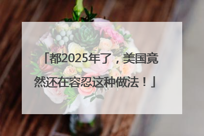 都2025年了，美国竟然还在容忍这种做法！