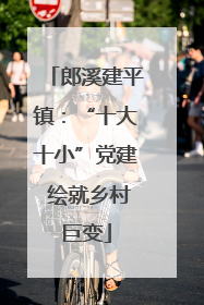 郎溪建平镇：“十大十小”党建 绘就乡村巨变