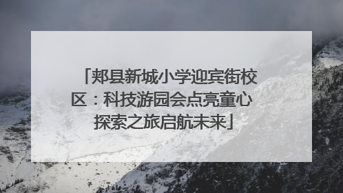 郏县新城小学迎宾街校区：科技游园会点亮童心 探索之旅启航未来