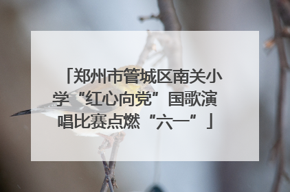 郑州市管城区南关小学“红心向党”国歌演唱比赛点燃“六一”