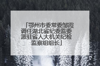 鄂州市委常委邹霞调任湖北省纪委监委派驻省人大机关纪检监察组组长