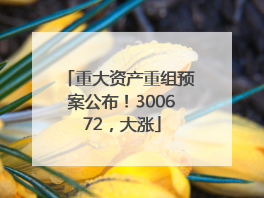 重大资产重组预案公布！300672，大涨