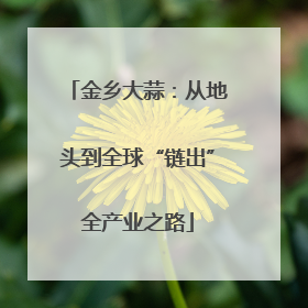 金乡大蒜：从地头到全球“链出”全产业之路