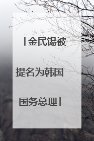 金民锡被提名为韩国国务总理