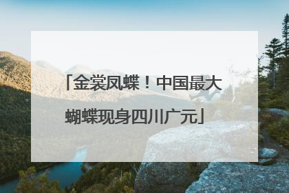 金裳凤蝶！中国最大蝴蝶现身四川广元