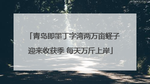 青岛即墨丁字湾两万亩蛏子迎来收获季 每天万斤上岸
