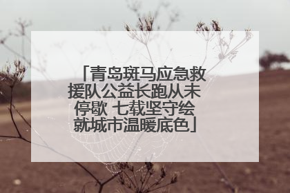 青岛斑马应急救援队公益长跑从未停歇 七载坚守绘就城市温暖底色
