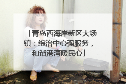青岛西海岸新区大场镇：综治中心强服务，和谐港湾暖民心