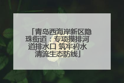 青岛西海岸新区隐珠街道：专项摸排河道排水口 筑牢碧水清流生态防线