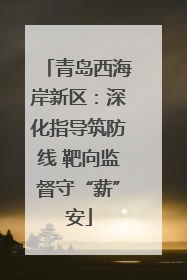 青岛西海岸新区：深化指导筑防线 靶向监督守“薪”安