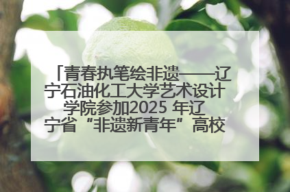 青春执笔绘非遗——辽宁石油化工大学艺术设计学院参加2025 年辽宁省“非遗新青年”高校优秀作品推荐活动