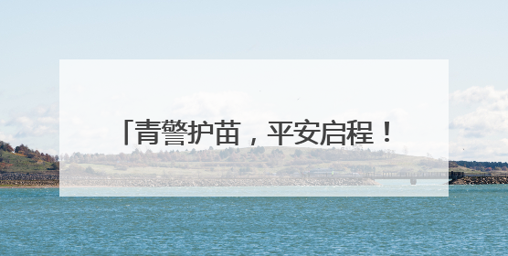 青警护苗，平安启程！武汉青山交警开展交通安全宣传进校园活动