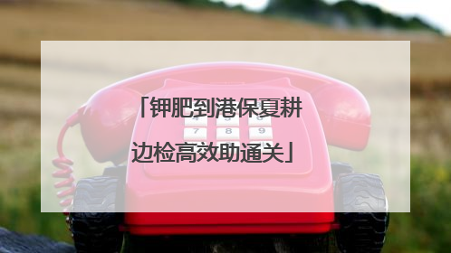 钾肥到港保夏耕 边检高效助通关
