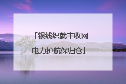 银线织就丰收网 电力护航保归仓