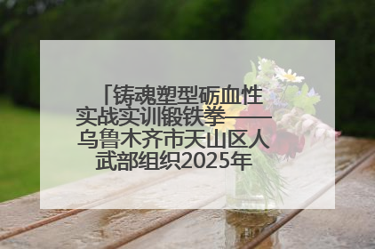 铸魂塑型砺血性 实战实训锻铁拳——乌鲁木齐市天山区人武部组织2025年度民兵集中轮训