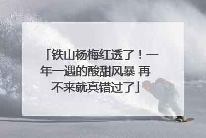 铁山杨梅红透了！一年一遇的酸甜风暴 再不来就真错过了