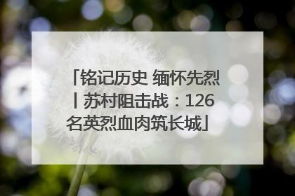 铭记历史 缅怀先烈丨苏村阻击战：126名英烈血肉筑长城