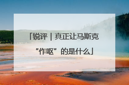 锐评｜真正让马斯克“作呕”的是什么