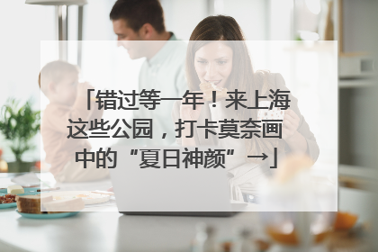 错过等一年！来上海这些公园，打卡莫奈画中的“夏日神颜”→