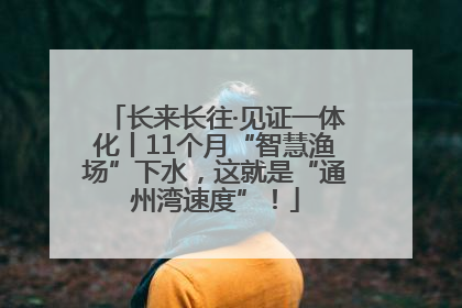 长来长往·见证一体化丨11个月“智慧渔场”下水，这就是“通州湾速度”！