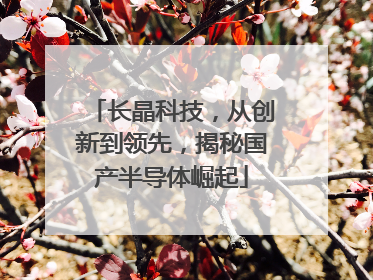 长晶科技，从创新到领先，揭秘国产半导体崛起