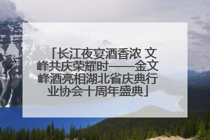 长江夜宴酒香浓 文峰共庆荣耀时——金文峰酒亮相湖北省庆典行业协会十周年盛典