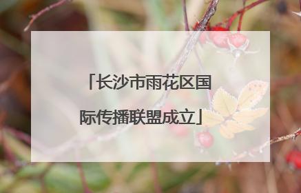 长沙市雨花区国际传播联盟成立
