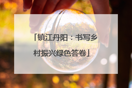 镇江丹阳：书写乡村振兴绿色答卷