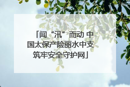闻“汛”而动 中国太保产险丽水中支筑牢安全守护网