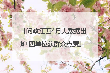 问政江西4月大数据出炉 四单位获群众点赞