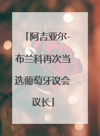 阿吉亚尔-布兰科再次当选葡萄牙议会议长