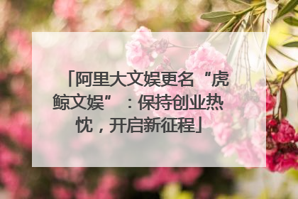 阿里大文娱更名“虎鲸文娱”：保持创业热忱，开启新征程