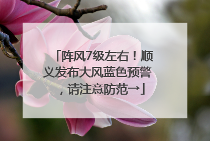 阵风7级左右！顺义发布大风蓝色预警，请注意防范→