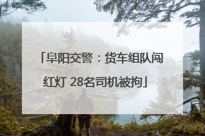阜阳交警：货车组队闯红灯 28名司机被拘