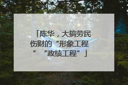 陈华，大搞劳民伤财的“形象工程”“政绩工程”