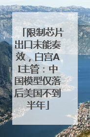 限制芯片出口未能奏效，白宫AI主管：中国模型仅落后美国不到半年