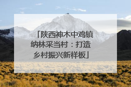 陕西神木中鸡镇纳林采当村：打造乡村振兴新样板