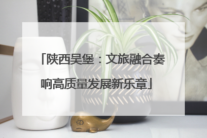 陕西吴堡：文旅融合奏响高质量发展新乐章